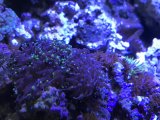 ナガレ