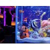 ノコギリウニさんのいる水槽に癒される交通事故治療整骨院◎各種保険取り扱い・自賠責保険・労災◎