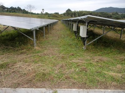太陽光発電所の草刈作業、メガソーラーの除草作業