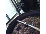 アラビカ種のコーヒー豆