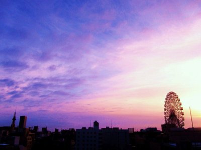 短いですが