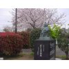 花見の散歩⑦