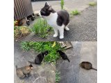 おはようございます。きょうも暑さに負けない元気な笑顔でよろしくお願いいたします。