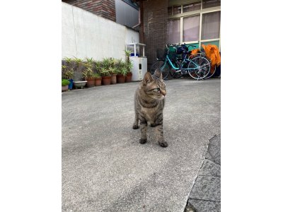 おはようございます。きょうも一日、元気な笑顔で頑張りまーす。