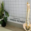 　HANDS・BONE2 (ハンズ・ボーンボーン)