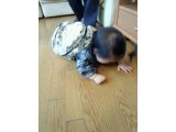 メニューについて