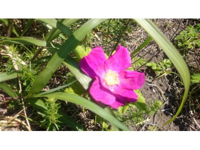 明日金曜日6時~8時半まで貸切です