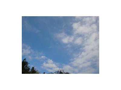成功の法則
