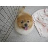 ☆お友達紹介☆