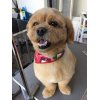 本日のお客様♪その1