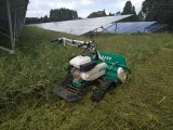 太陽光発電所の草刈を承ります。