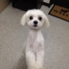 ☆お友達紹介☆