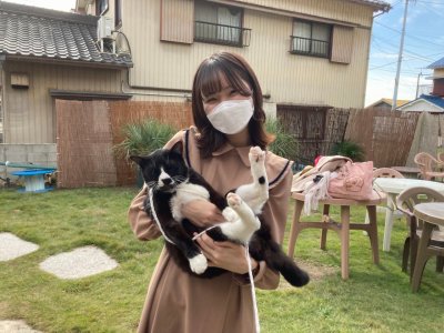 だっこねこ。