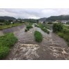 今朝の河川の様子です。