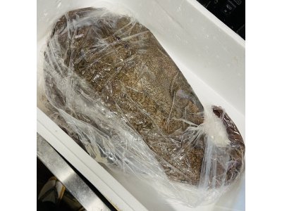 土曜日もしっかり仕込み中ー