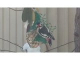 忘年会ピーク
