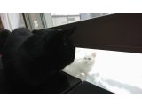 明日から2月