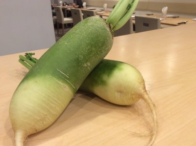 青長大根　三浦野菜