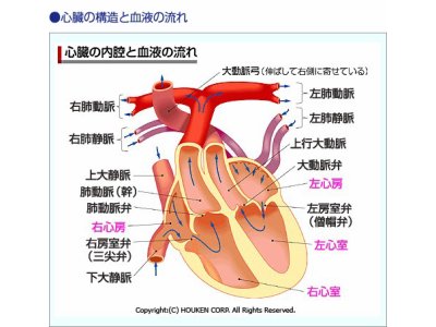 知っておきたいAEDの基礎知識