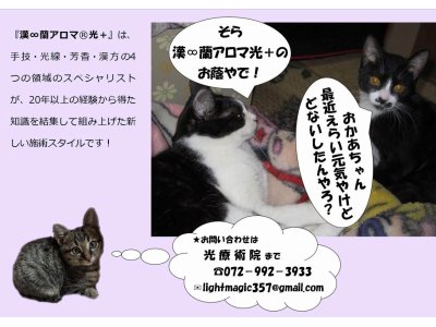 光療術院（ひかりりょうじゅついん）にゃんこ劇場