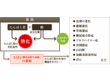 食と健康と美について改めて見てみよう！