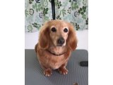 2016/3/10(木)