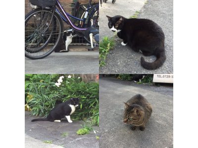 おはようございます。きょうもハッピーな笑顔で頑張りましょう。