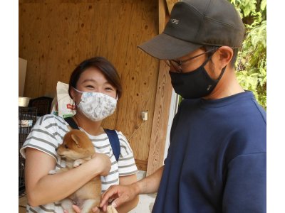 この前の写真左側の子犬