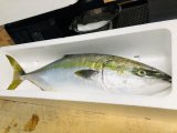 当店花あかり休み明けにて、新鮮食材大量仕入れです