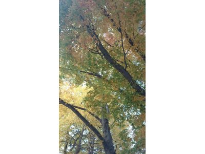 本日は定休日