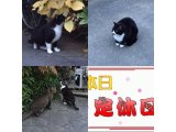 おはようございます。きょうも明るい笑顔でよろしくお願いいたします。