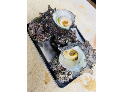 今日はサービス品あります