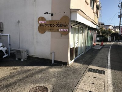 また今日も暖かいですね。