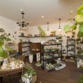 観葉植物と生活雑貨の店　CLASS