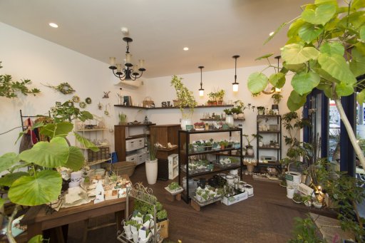 観葉植物と生活雑貨の店 Class