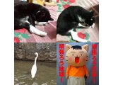 おはようございます。きょうも元気な笑顔で頑張りましょう。