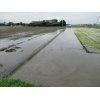 6/18【畔波を立てて水位確保】