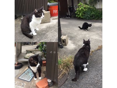 おはようございます。今週もよろしくお願いいたします。