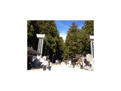 11月14日(月)の鑑定士