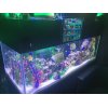 ＪＲ線渋谷駅より徒歩30秒！夜間診療ＯＫのむちうち交通事故・労災治療の整骨院・原宿・新宿