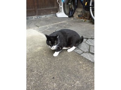 きょうもキラキラ笑顔で頑張りまーす