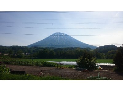 何処へ?