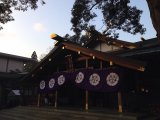 短いですが