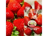 朝食後のデザート