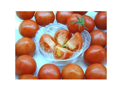 夏のフルーツトマト