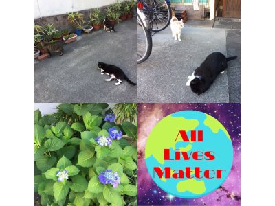 おはようございます。きょうも元気な笑顔で頑張りましょうね。
