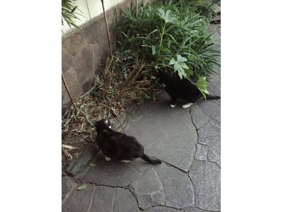 おはようございます。きょうもハッピーな笑顔でよろしくお願いいたします。
