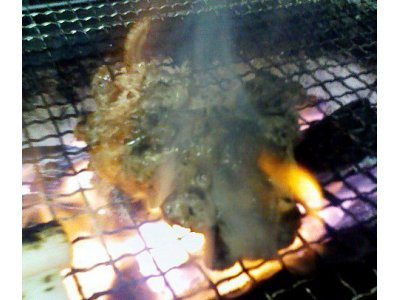 炭焼き鶏タタキ