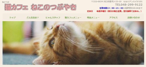 猫カフェ ねこのつぶやき