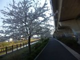 自然満喫サロン Cinderella